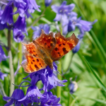 Oppo Find X9 Ultra ile gerçek kullanım deneyimi