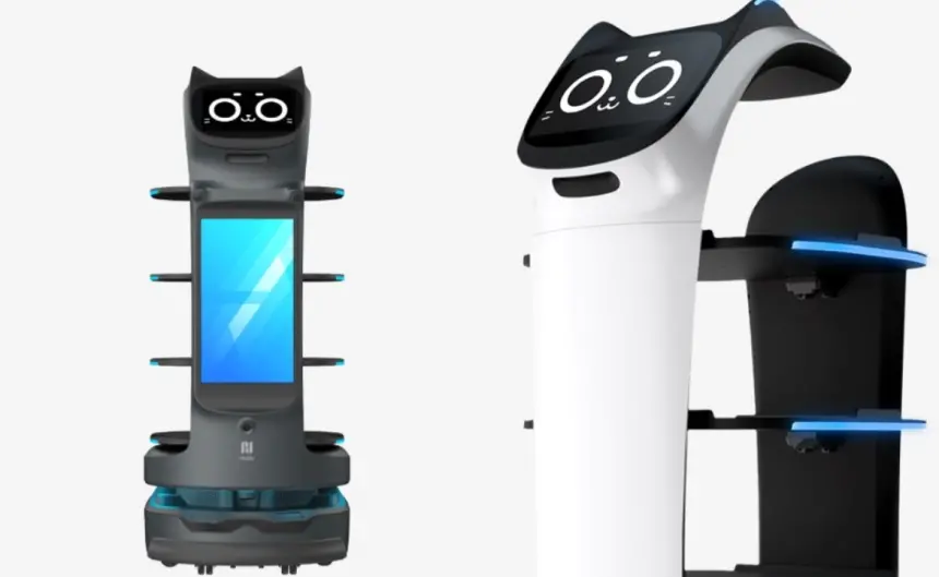 Türkiye’de robot kiralama dönemi başladı