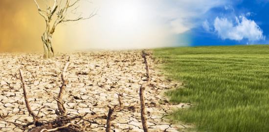 Türkiye’de iklim değişikliğinin göç üzerindeki etkilerini anlatan yeni rapor yayınlandı