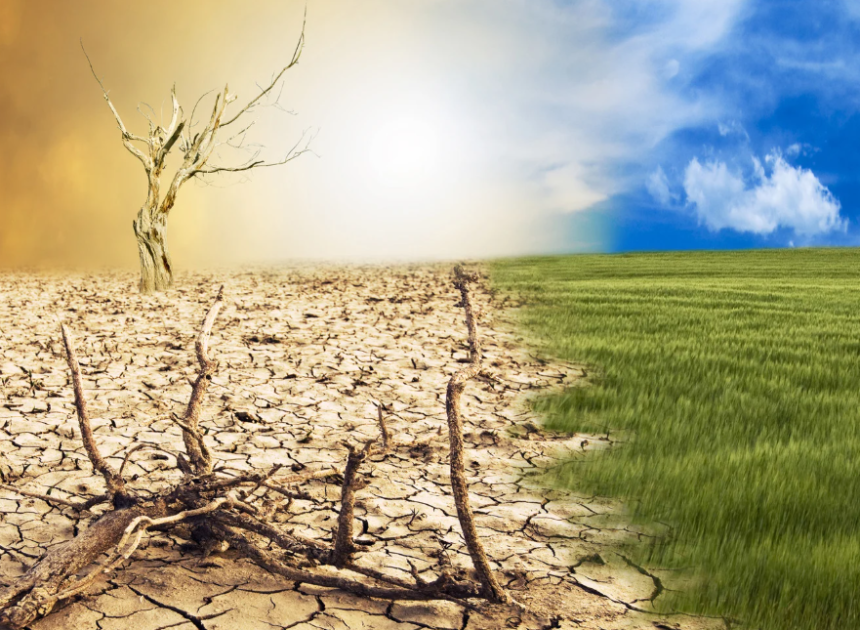 Türkiye’de iklim değişikliğinin göç üzerindeki etkilerini anlatan yeni rapor yayınlandı