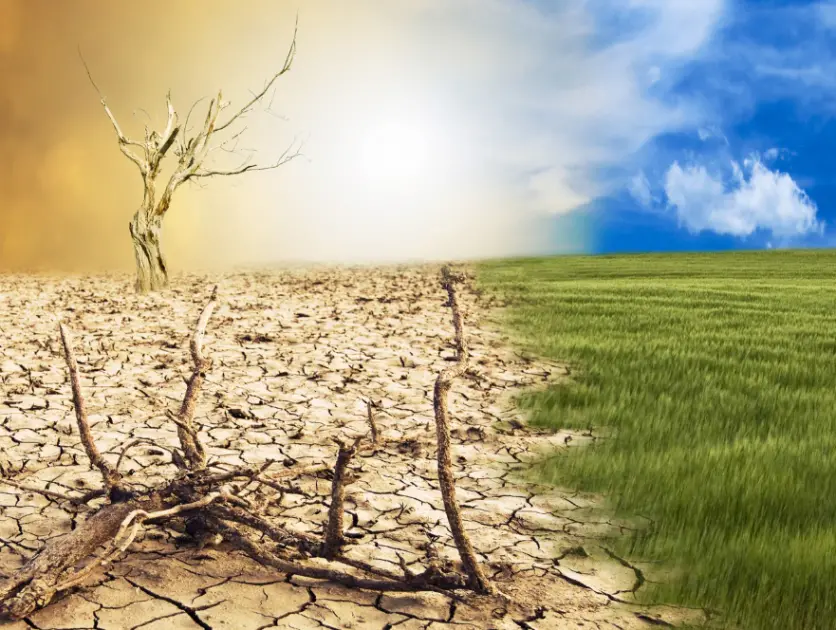 Türkiye’de iklim değişikliğinin göç üzerindeki etkilerini anlatan yeni rapor yayınlandı