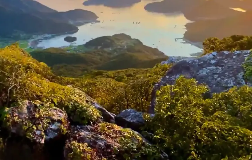 APPLE SHARP tek bir fotoğrafı anında 3D sahneye dönüştürüyor