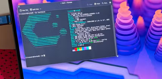 AMD, yerel yapay zeka modellerinde Nvidia'ya güçlü bir alternatif olmaya başladı