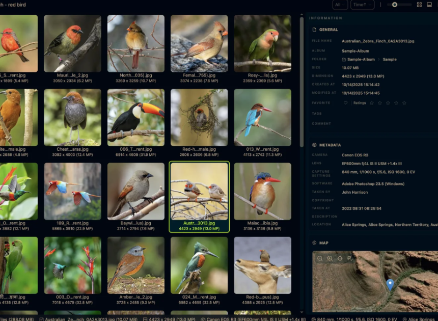 LAP Photo Manager vs Windows Fotoğraflar: Hangisi gerçekten daha iyi?