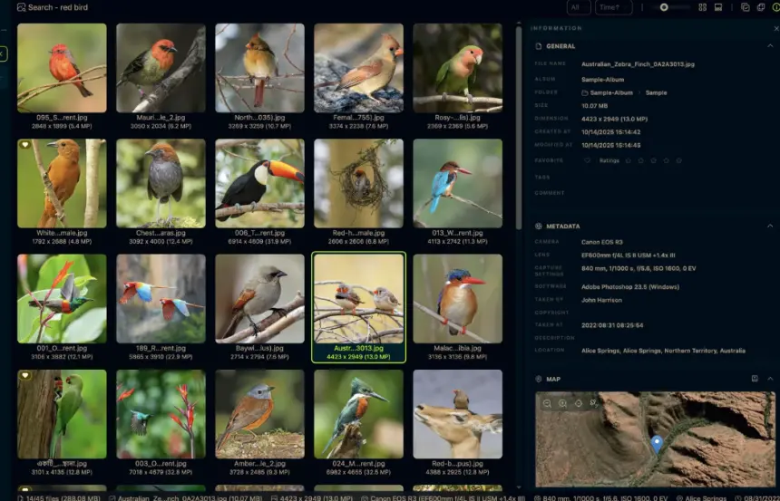 LAP Photo Manager vs Windows Fotoğraflar: Hangisi gerçekten daha iyi?